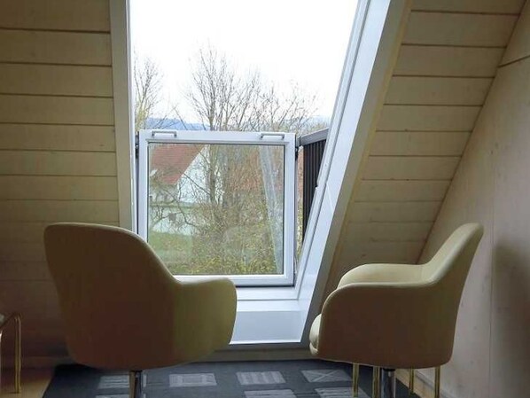 A room with a sloped ceiling, a skylight, and two chairs.
