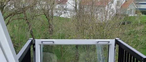 A skylight with a view of a rural landscape, including trees and houses.