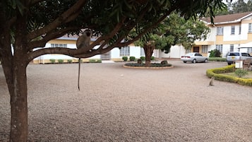 Área da propriedade