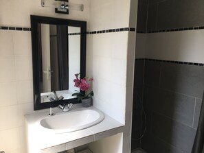 Shower, hair dryer