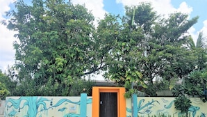 A building with a colorful mural, a black door, and lush greenery around it. - Midsummer Thulusdhoo (Thulusdhoo Island)