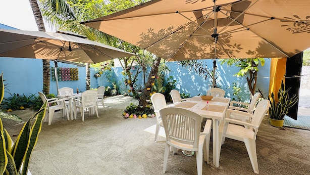An outdoor patio with white plastic chairs and tables, shaded by large umbrellas, surrounded by potted plants and a blue wall. - Midsummer Thulusdhoo (Thulusdhoo Island)