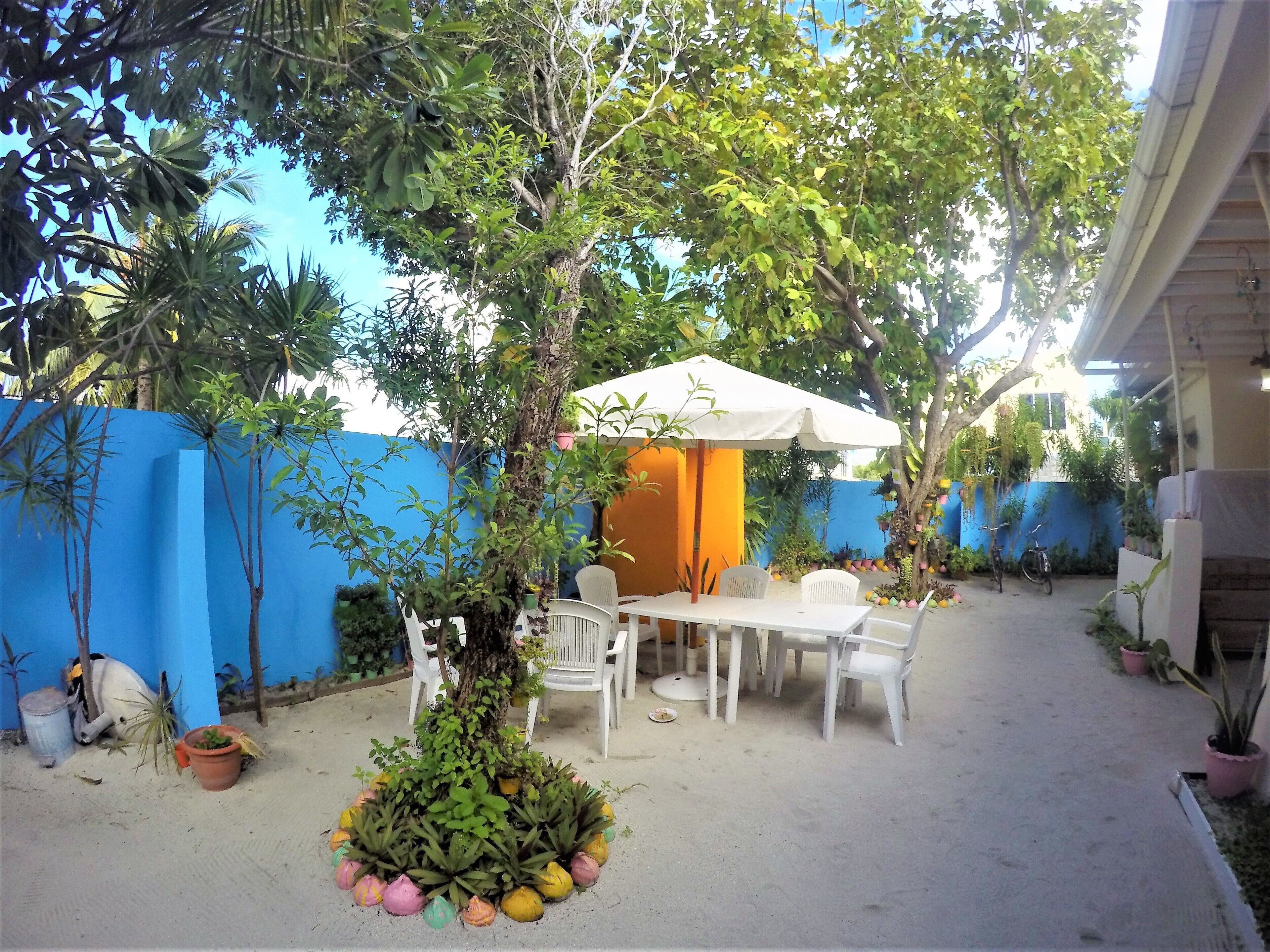 An outdoor patio with a table and chairs, surrounded by potted plants and a blue wall.