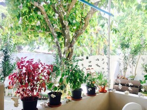 Garden - Midsummer Thulusdhoo (Thulusdhoo Island)