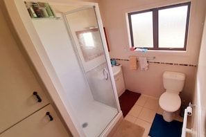 Combined shower/bathtub, hair dryer, towels, soap