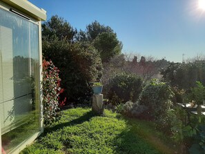 Property grounds - House with pool and garden (Montpellier)