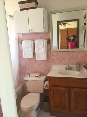 Combined shower/tub, hair dryer, towels, soap