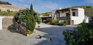 A stone-walled building with a modern white facade, a stone staircase, and a garden with various plants and flowers.