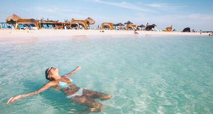 Appartement relaxant Ă Arubian Nature & Beaches