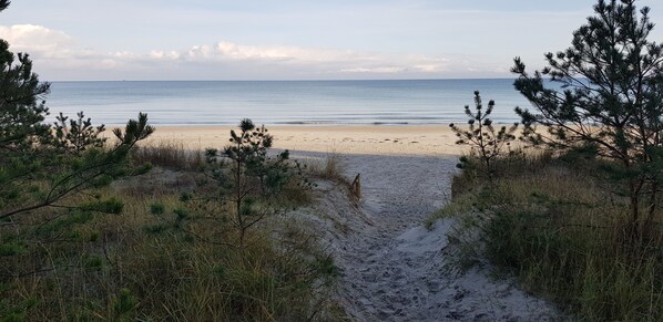 Ein Strandweg führt zum Meer, gesäumt von vereinzelter Vegetation.