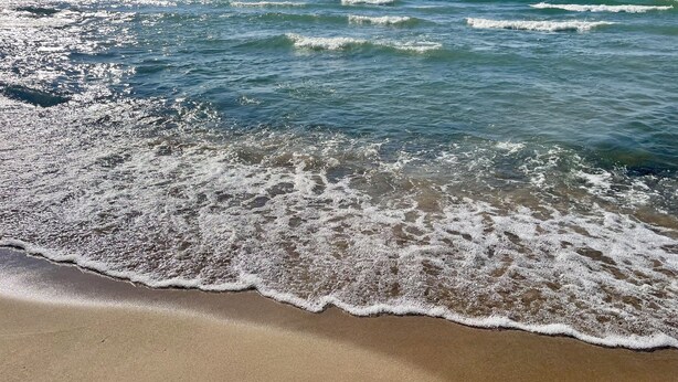 Una playa con olas que llegan suavemente a la orilla.