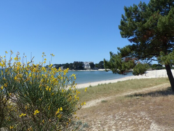 Plage