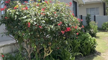 DĂ©tail de lâextĂ©rieur