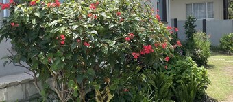 Quite, secure ,  private accommodation. Close to beach front and amenities