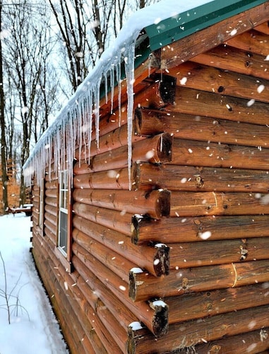 Cozy Amish Log Cabin, Near Caves, Grill, Fire Pit, DirecTV, High-Speed WiFi!