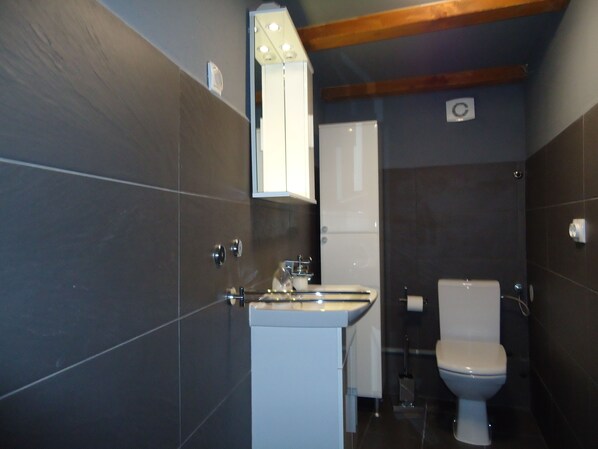 Un baño con paredes de azulejos oscuros, un lavabo blanco, un espejo y un inodoro.