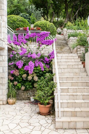 Exterior - Apartments Maria Kolocep (Dubrovnik)