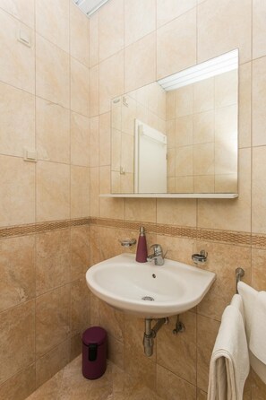 Apartment (Two Bedroom Apartment with Terrace) | Bathroom