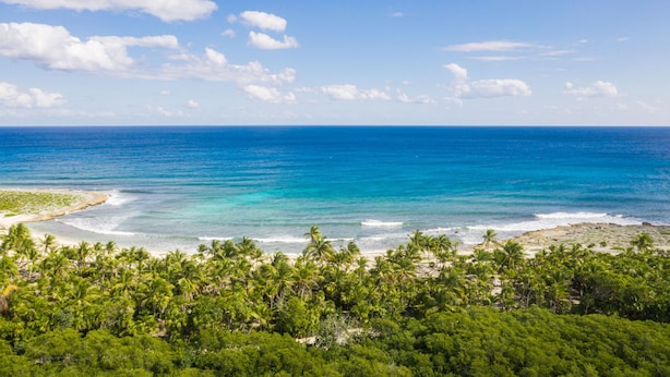 Un paysage côtier avec une plage, des palmiers et une mer bleue et limpide.