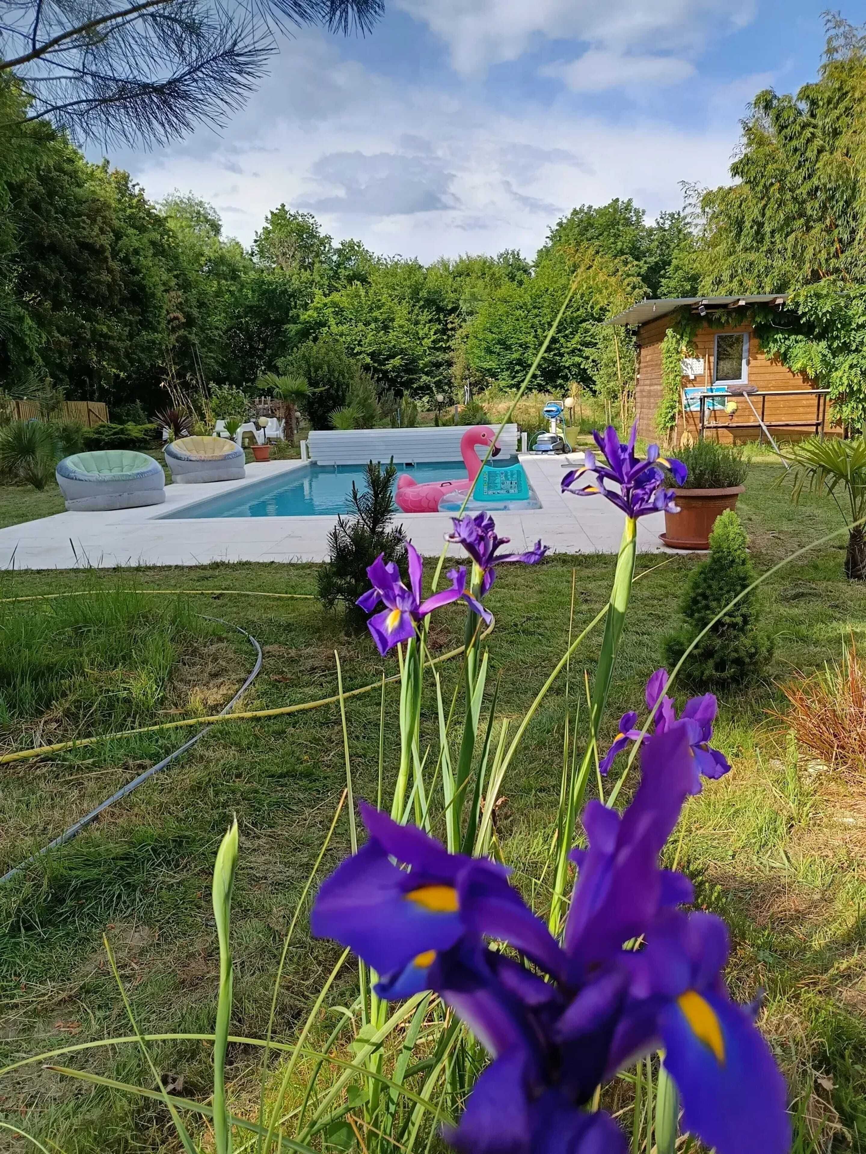 Een verwarmd zwembad