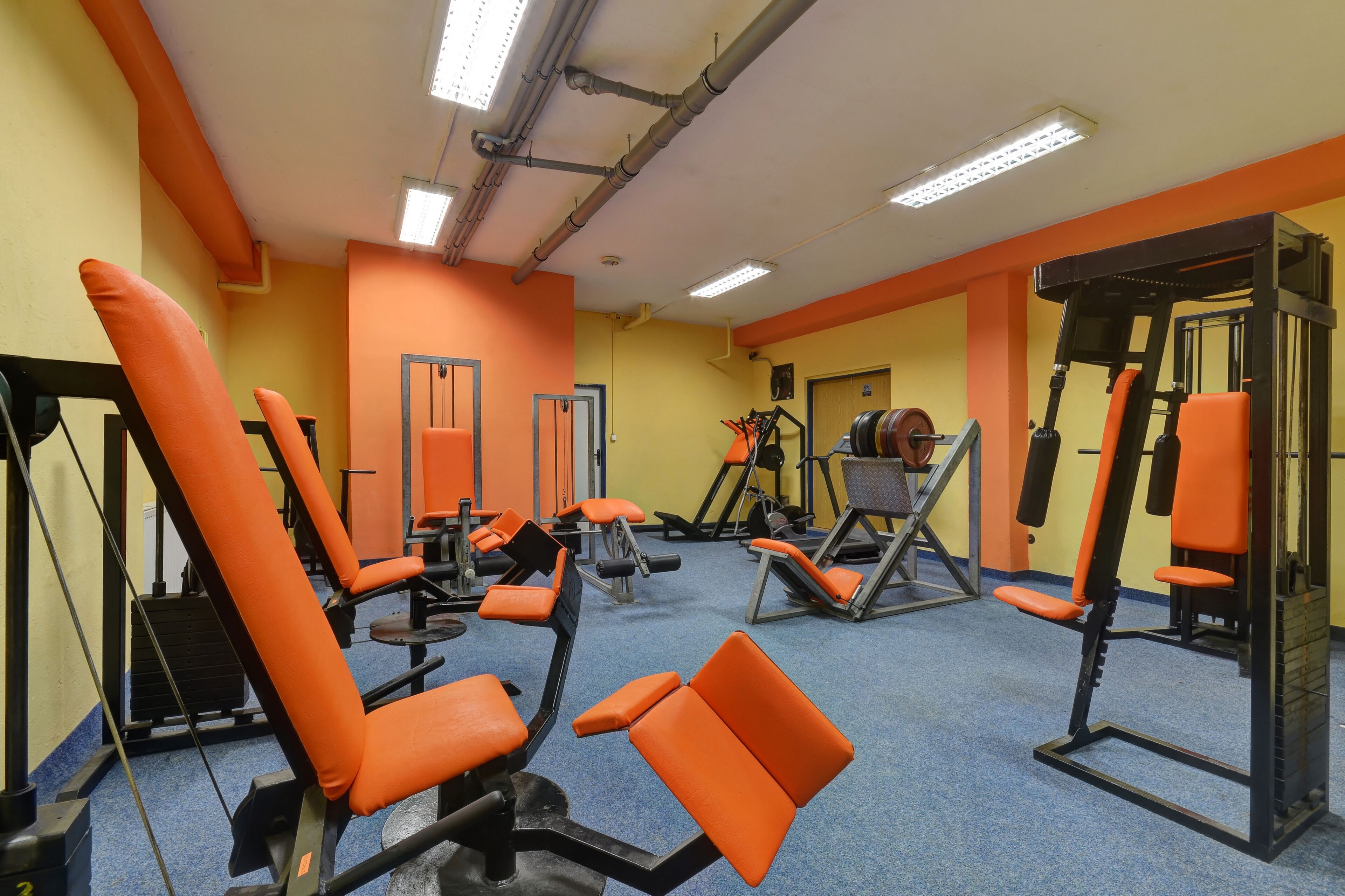 A gym with orange equipment and a blue carpet.