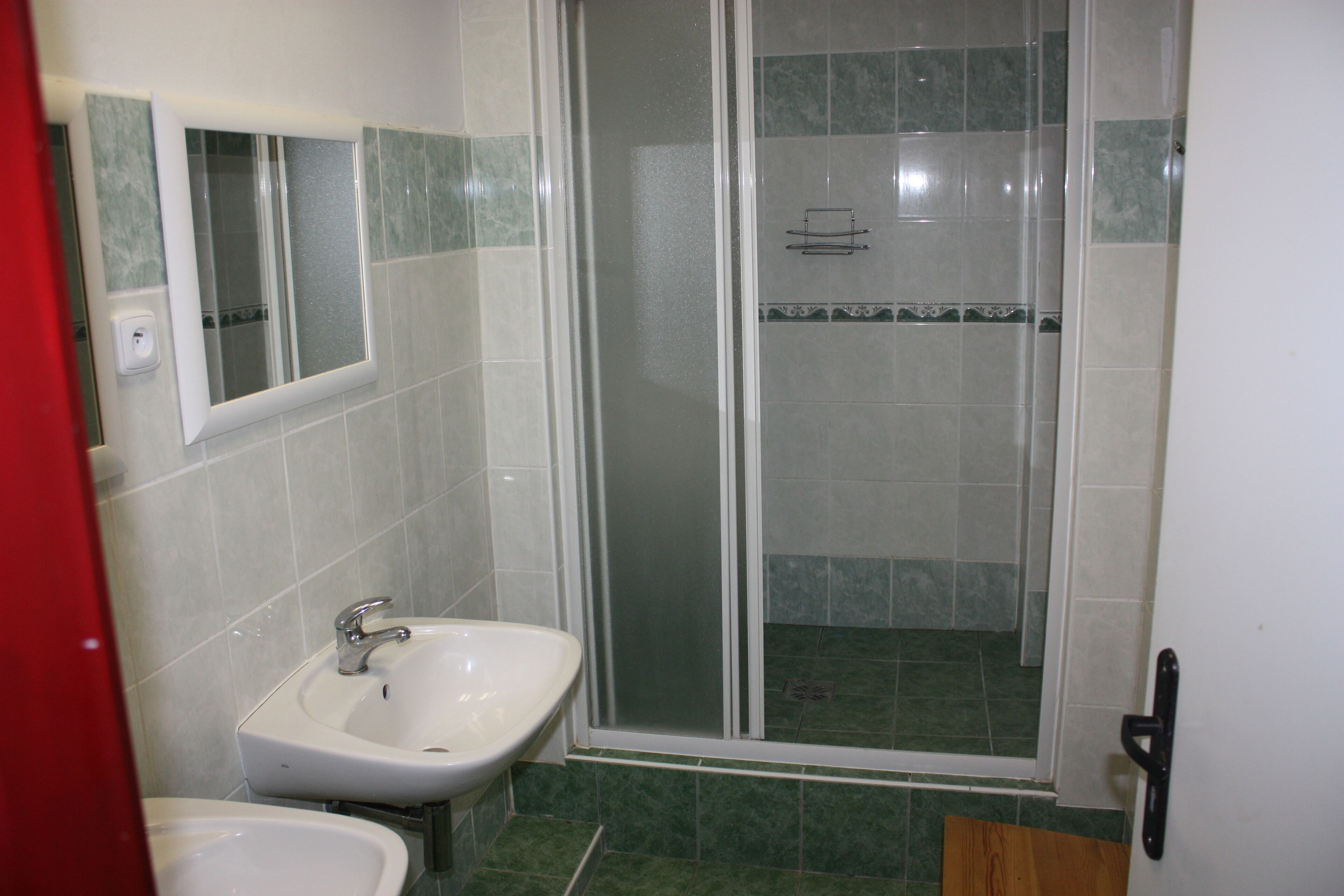 A bathroom with a shower, a sink, and a mirror.