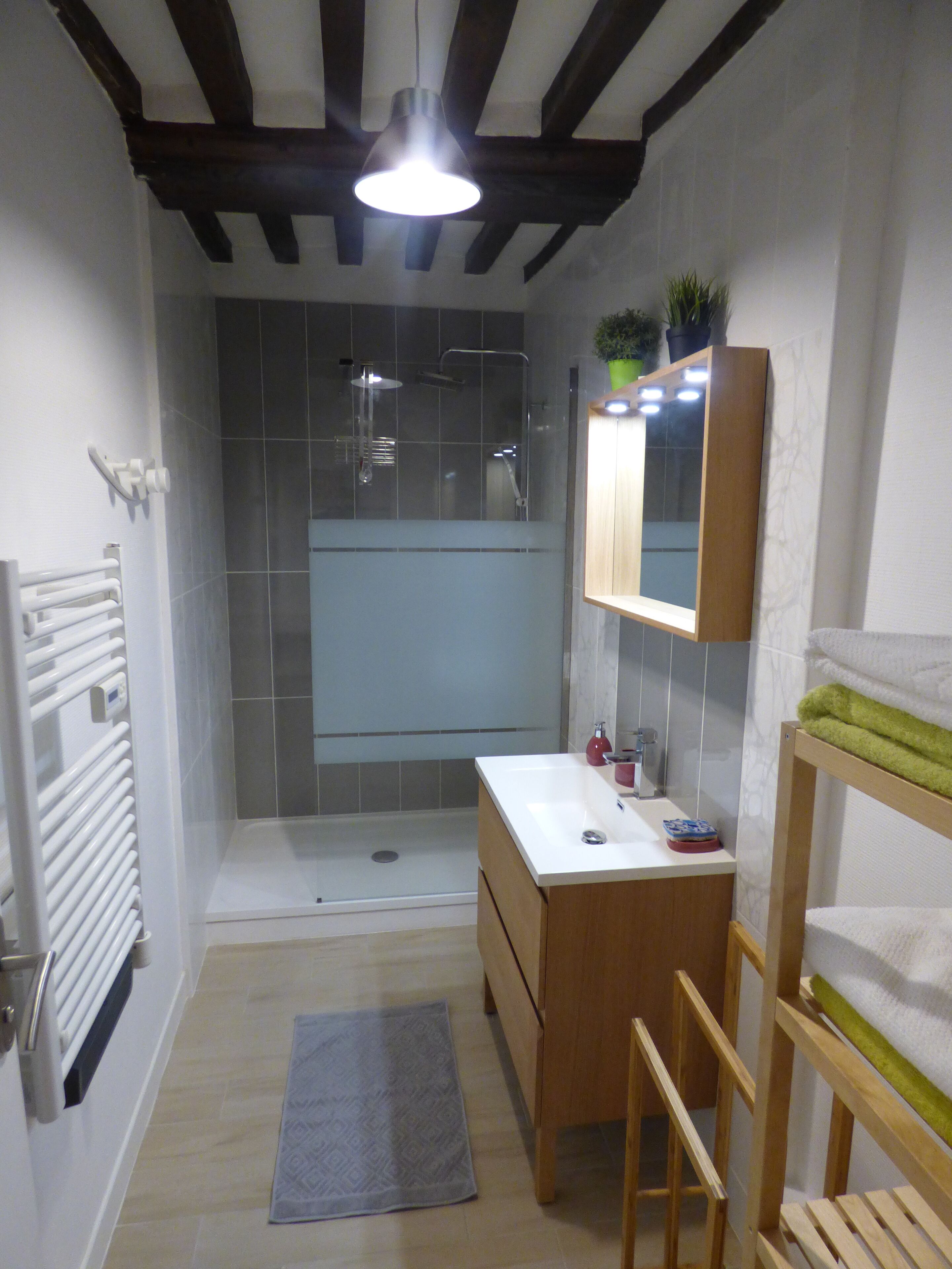 Une salle de bain moderne équipée d’une douche, d’un lavabo, d’un miroir et d’un porte-serviettes.