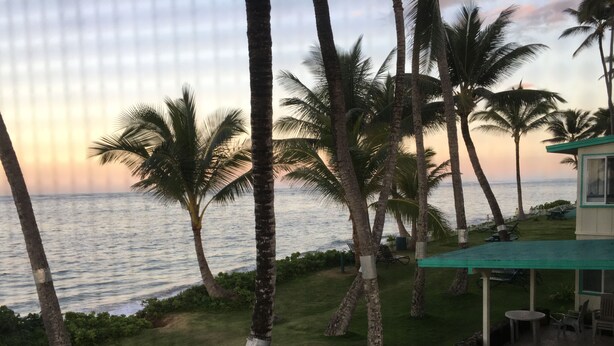 Blick auf einen Strand mit Palmen und ein kleines Gebäude mit einem grünen Dach.