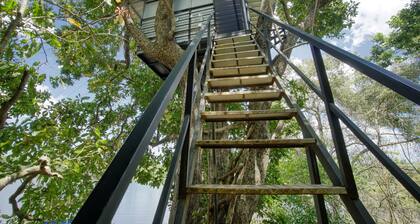 Yksi ja ainoa metsäkohde Batticaloassa