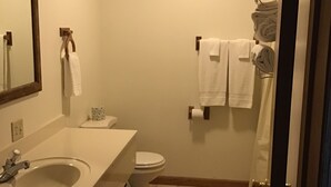 Chambre Double | Salle de bain | Serviettes fournies