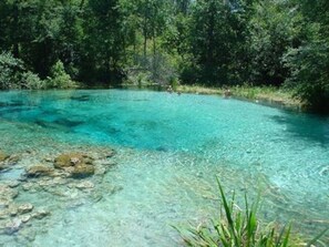 Beach - Rum Island Springs Cabin (Fort White)