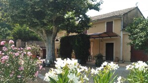 Un pati amb un arbre gran, plantes en testos i un edifici amb teulada de rajoles.