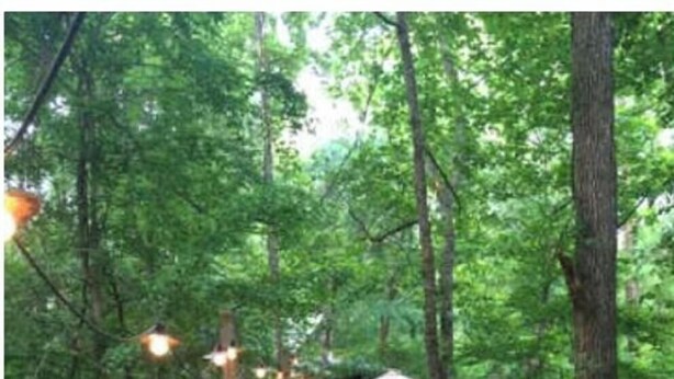 A wooden bridge with railings, surrounded by dense green foliage. - The Bridge: Melody House (St Francisville)