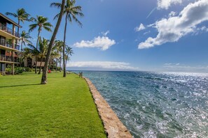 Property grounds - Timeless island charm and breathtaking views (Lahaina)