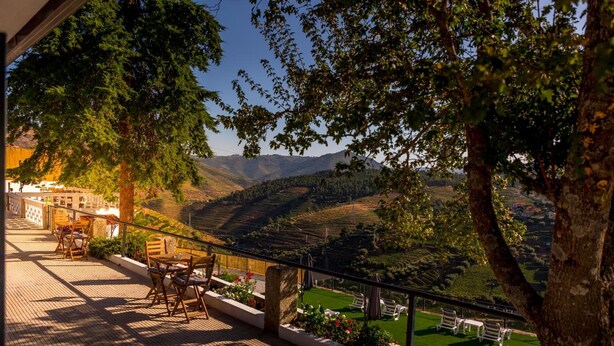 A terrace with outdoor seating, a view of rolling hills, and a tree providing shade. - Quinta da Portela Douro (Armamar)