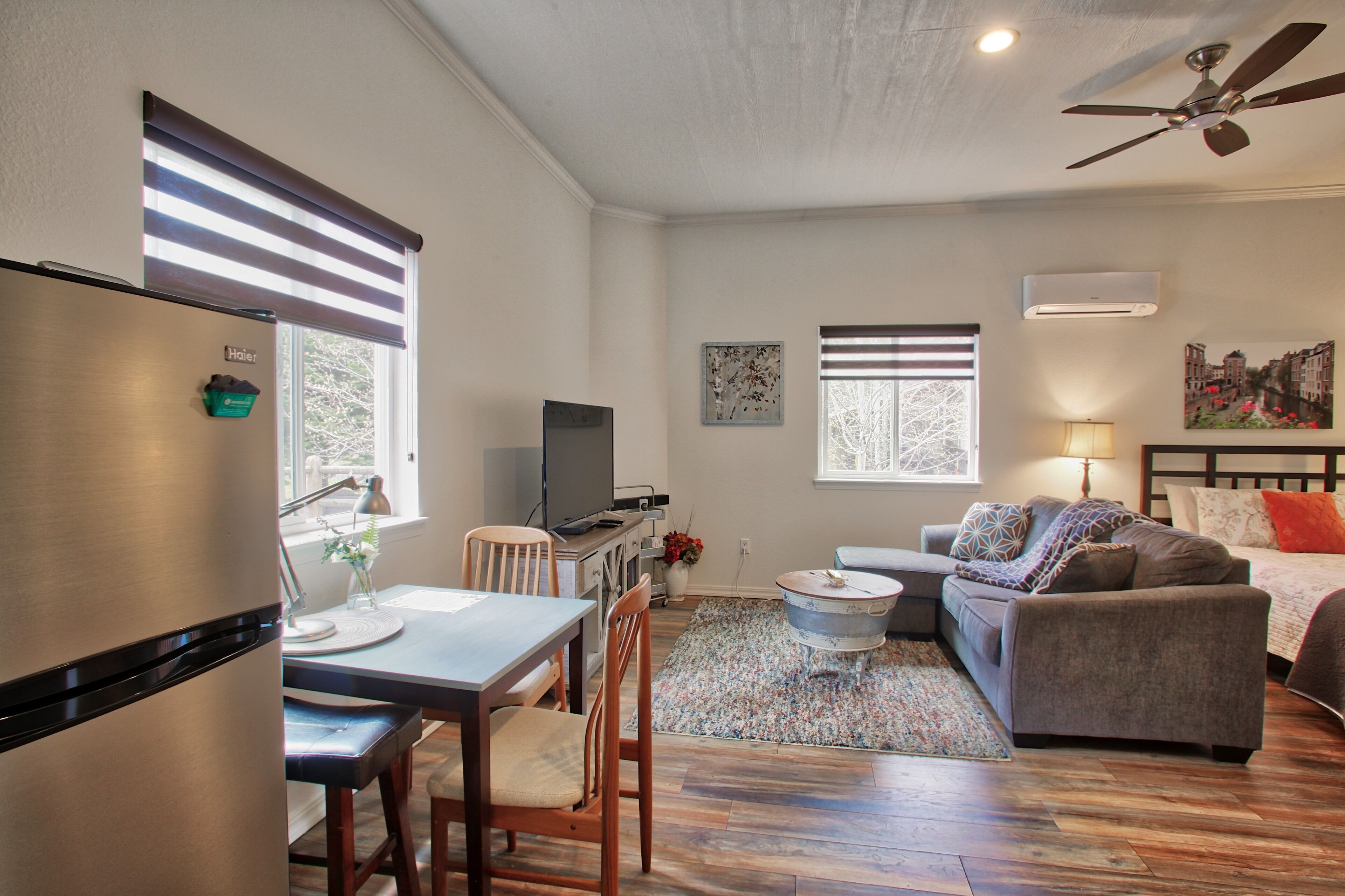 Smart TV, DVD player, books, video library