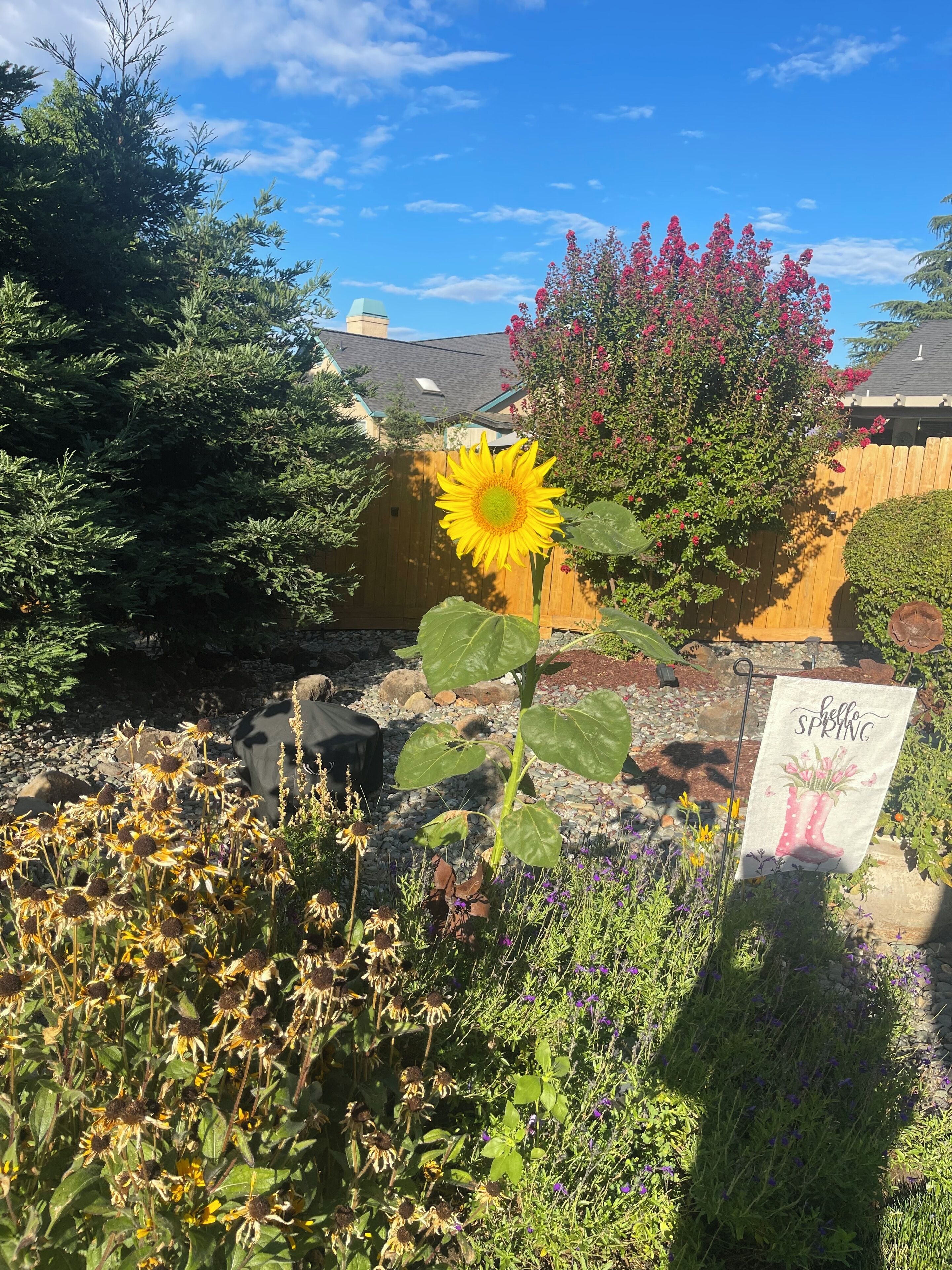 Details aan de buitenkant