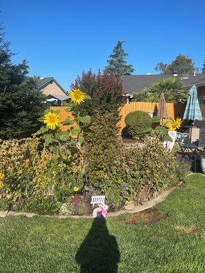 Property grounds - Quaintly Queen  in Charming Redding Close to Bethel & Mercy Shasta Hospital (Redding)