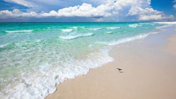 Una spiaggia nelle vicinanze
