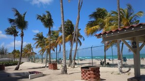 A beachside area with palm trees, a fenced walkway, and a beach in the background. - This is a beach front Condo located in Isla Verde Puerto Rico (Carolina)