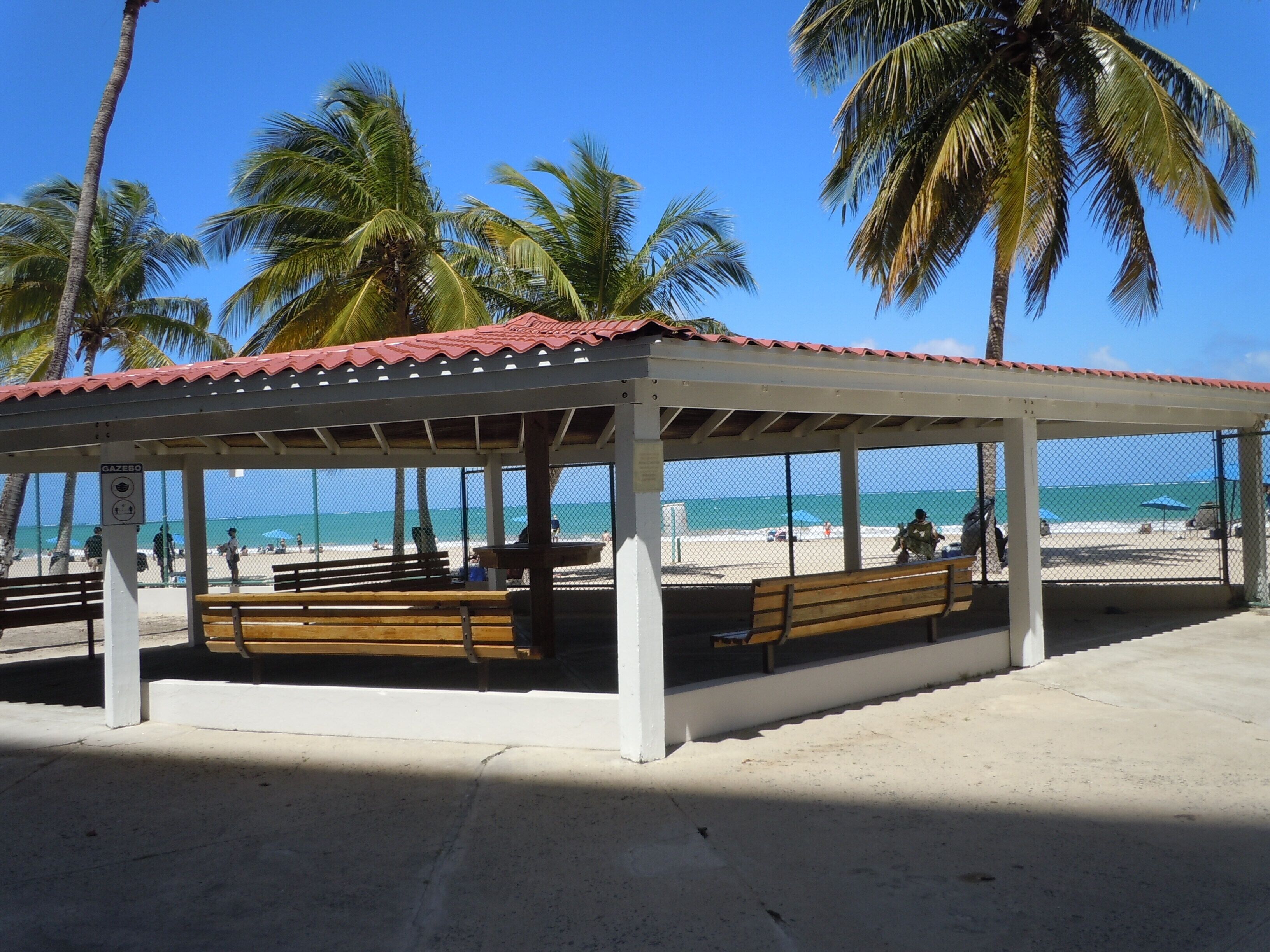 A beach gazebo with benches, palm trees, and a clear view of the beach and ocean.