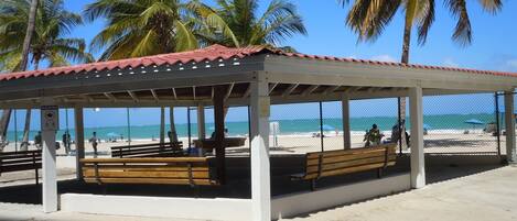 A beach gazebo with benches, palm trees, and a clear view of the beach and ocean.