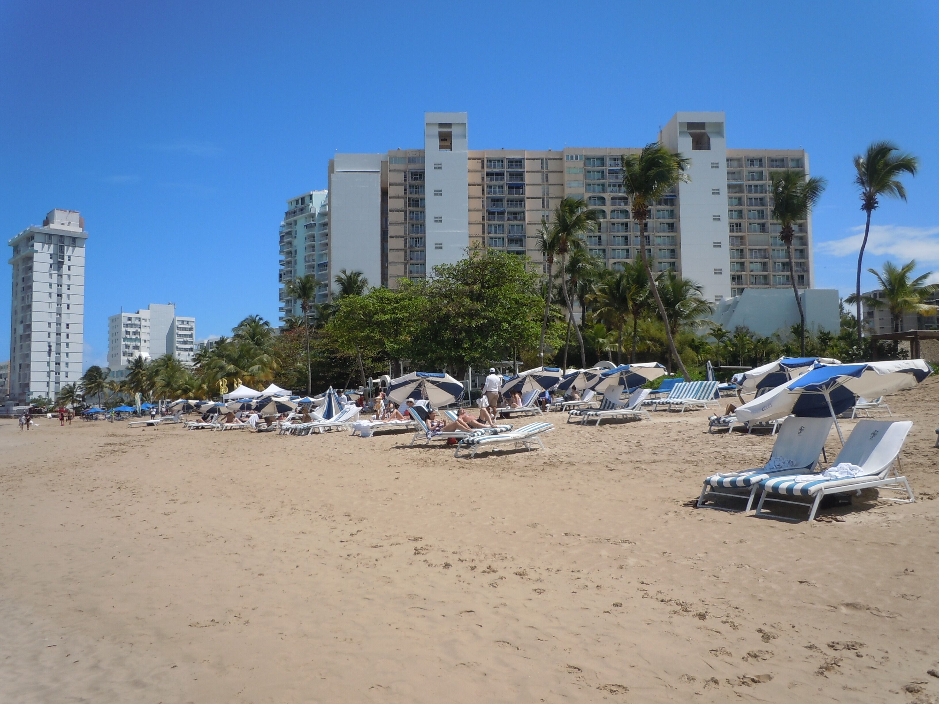 A beach with multiple sun loungers and umbrellas, palm trees, and tall buildings in the background.