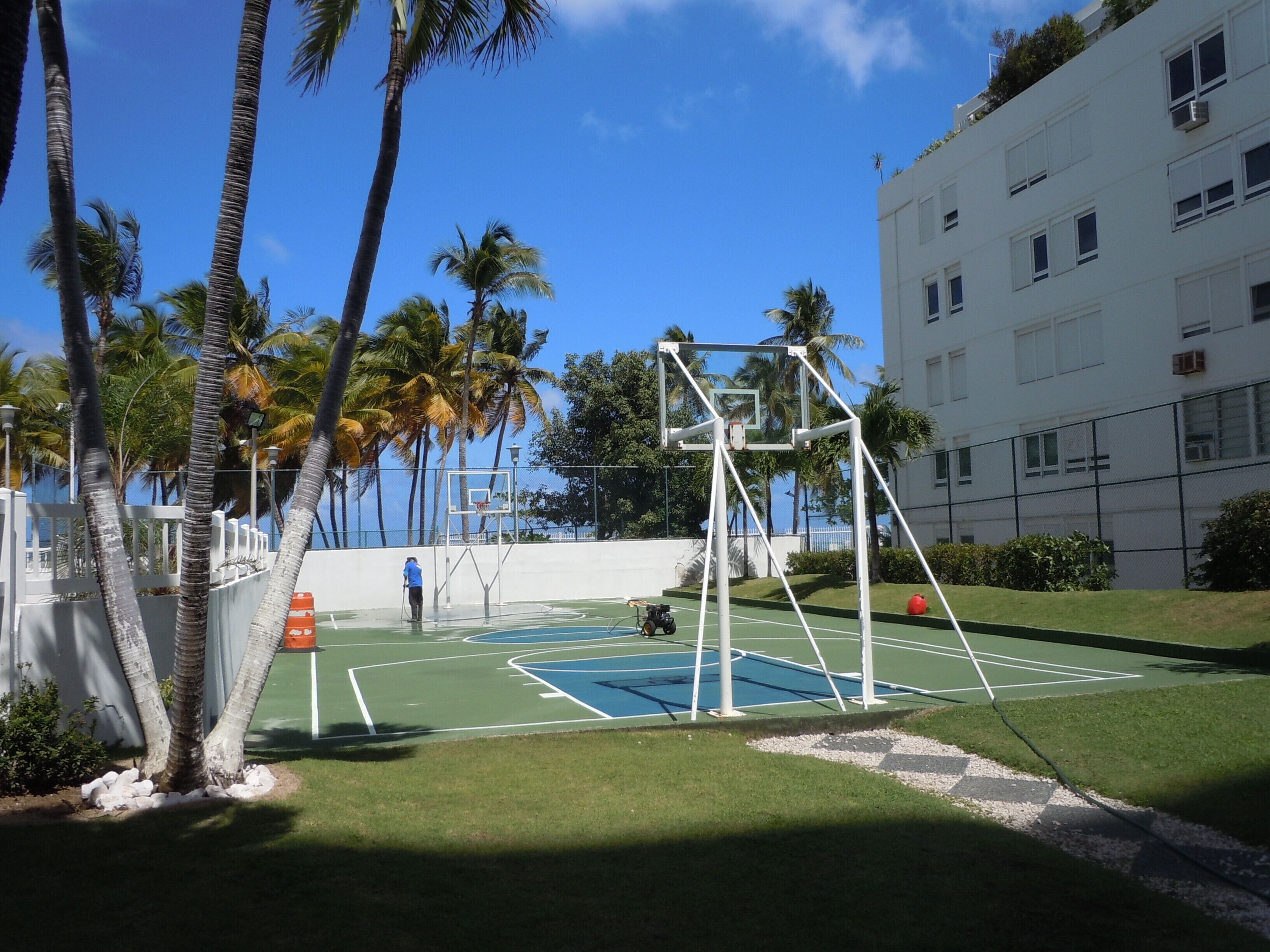 Una cancha de baloncesto con aro, rodeada de palmeras y un edificio blanco.