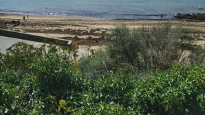 Een strand met heldere luchten en rustig water.