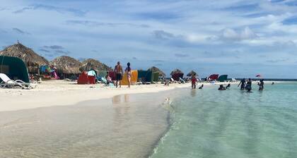 Trooppinen keidas arubassa Kävele Palm Beachille