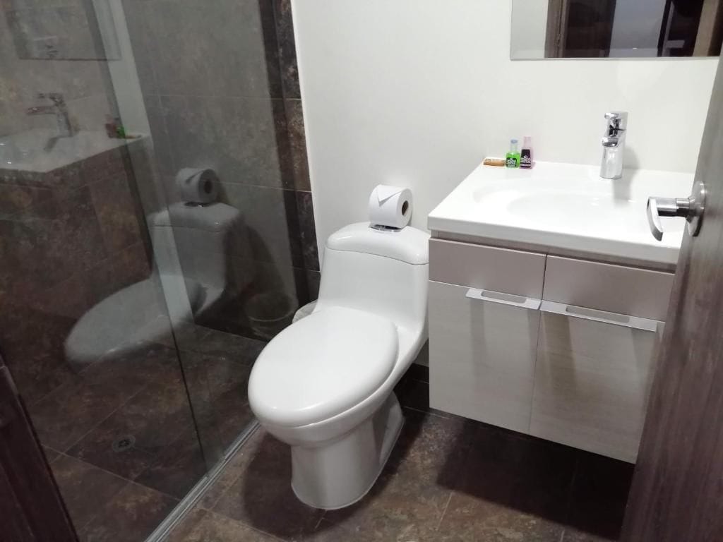 A bathroom with a toilet, a sink, and a shower enclosure.