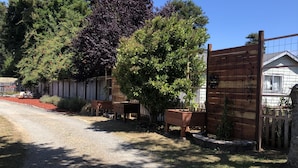 A gravel driveway leading to a wooden gate, surrounded by trees and a wooden fence. - Beautiful serene cottage (Fort Bragg)