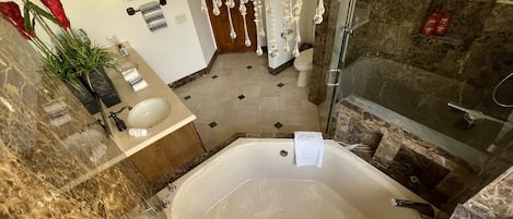 Combined shower/bathtub, hair dryer, bidet, towels