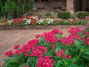 Stroll through the beautifully maintained garden, surrounded by a variety of vibrant flowers along a stone pathway.